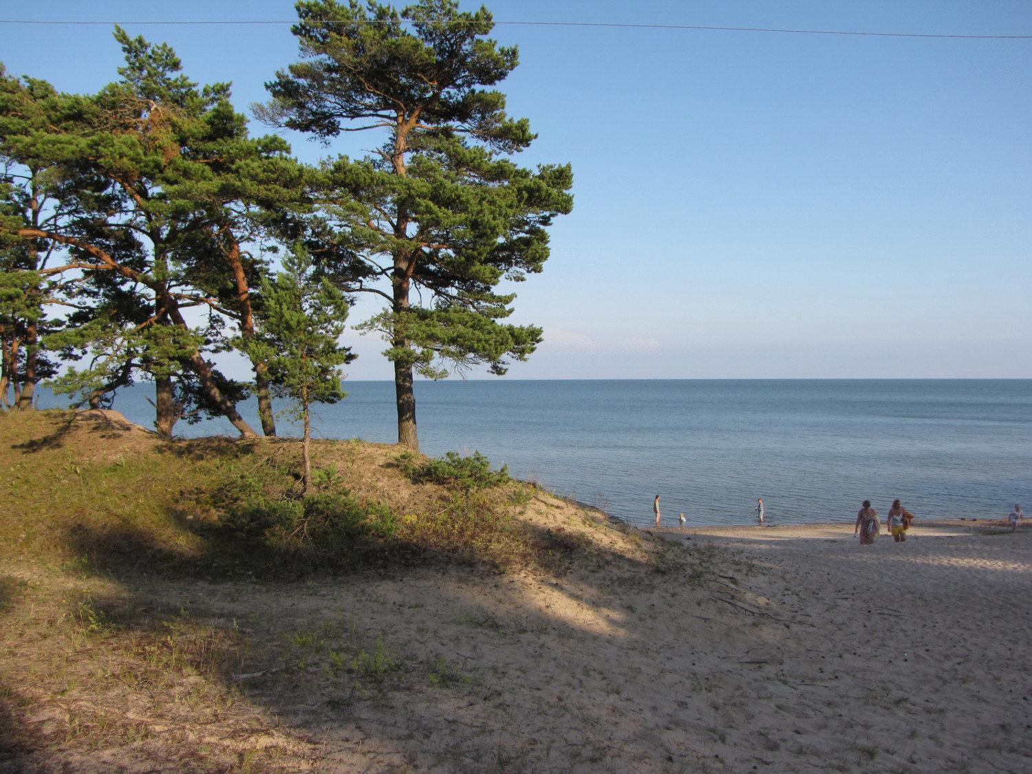 Mandjala Puhketalu - Cottages Zewnętrze zdjęcie